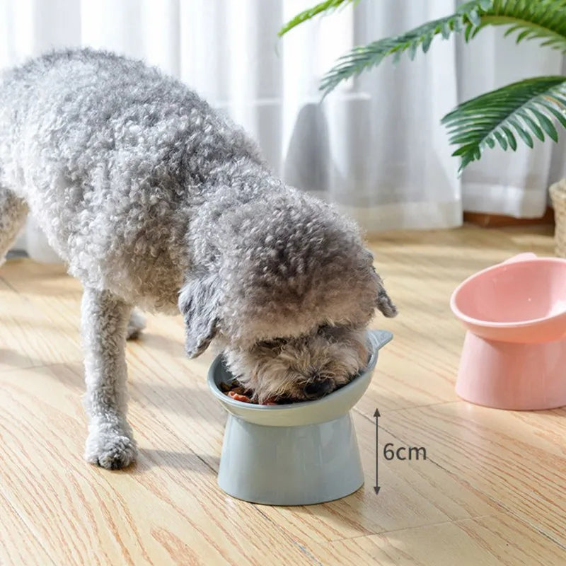 Pet Dog Bowl with Raised Stand - PuppiPaw