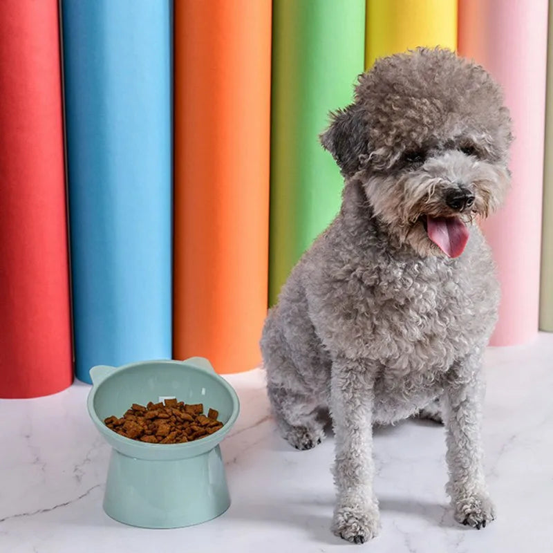 Pet Dog Bowl with Raised Stand - PuppiPaw