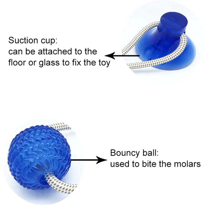 Interactive Pet Dog Suction Cup Push TPR Ball - PuppiPaw