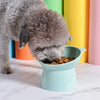 Pet Dog Bowl with Raised Stand - PuppiPaw