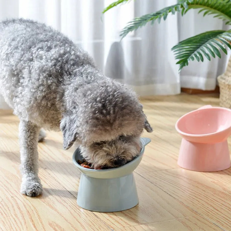 Pet Dog Bowl with Raised Stand - PuppiPaw