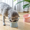 Pet Dog Bowl with Raised Stand - PuppiPaw