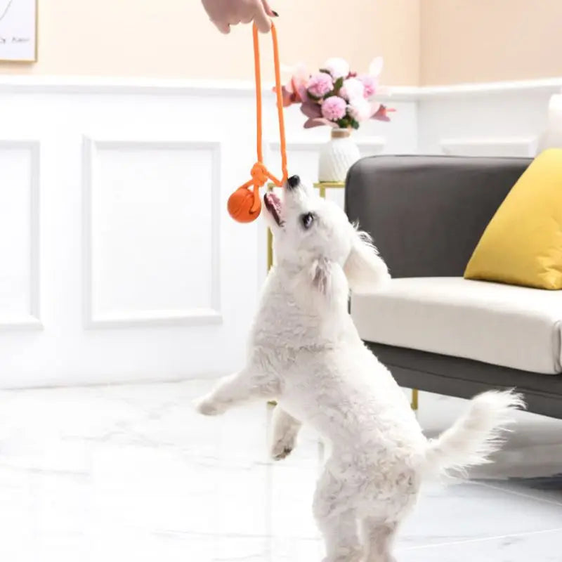 Pet Dog Chew Rope Toys - PuppiPaw