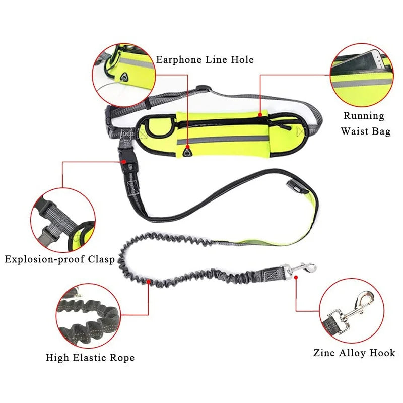 Pet Dog Running Walking Reflective Leash - PuppiPaw