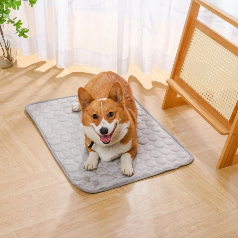 Summer Casual Pet Dog Cooling Mat - PuppiPaw