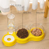 Pet Dog Double No-Spill Bowls Dogs Food Dispenser - PuppiPaw