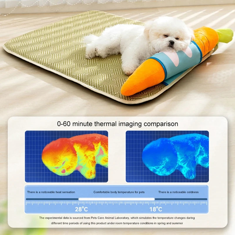 Summer Casual Pet Dog Cooling Mat - PuppiPaw