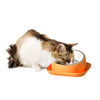 Pet Dog Feeder No-Spill Food Bowl - PuppiPaw