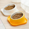 Pet Dog Feeder No-Spill Food Bowl - PuppiPaw