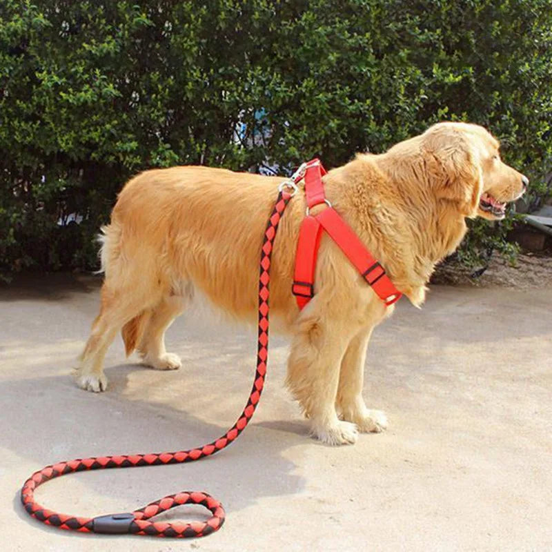 Nylon Strong  Pet Dog Reflective Leash - PuppiPaw