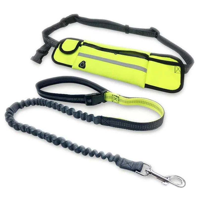 Pet Dog Running Walking Reflective Leash - PuppiPaw