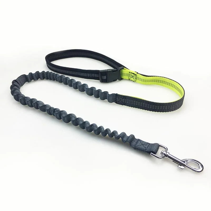 Pet Dog Running Walking Reflective Leash - PuppiPaw